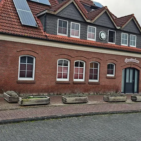 Gezeitenhaus - Lachmoewe *