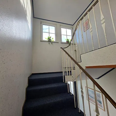 Gezeitenhaus - Lachmoewe