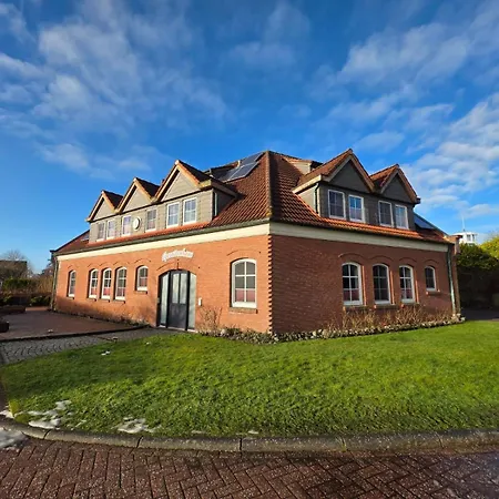 Gezeitenhaus - Lachmoewe *