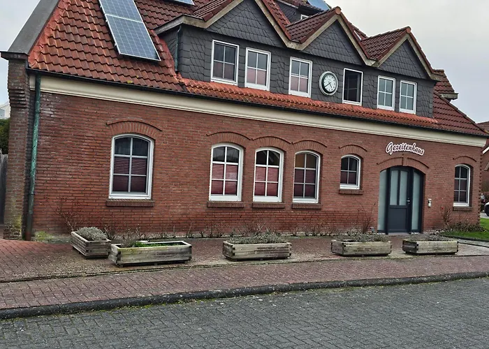 Gezeitenhaus - Lachmoewe *